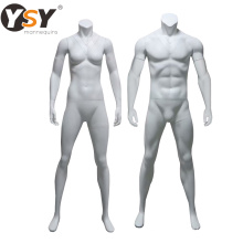 Dissemble 3D sports clothing display male female photograph muscle bodybuilder muscle mannequin